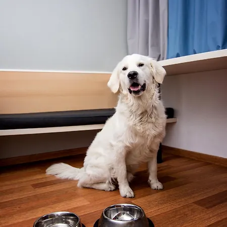 Ibis Stare Познань