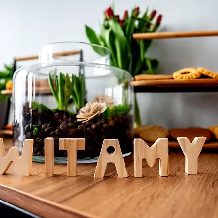 Ibis Stare Hotel Poznań