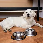 Ibis Stare 2* Poznań