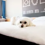 Hotel Ibis Stare Poznań