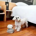 Ibis Stare 2* Poznań