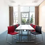 Ibis Stare