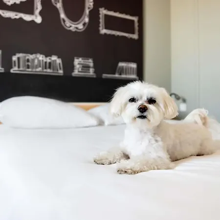 波兹南斯塔勒米亚斯托宜必思酒店 酒店