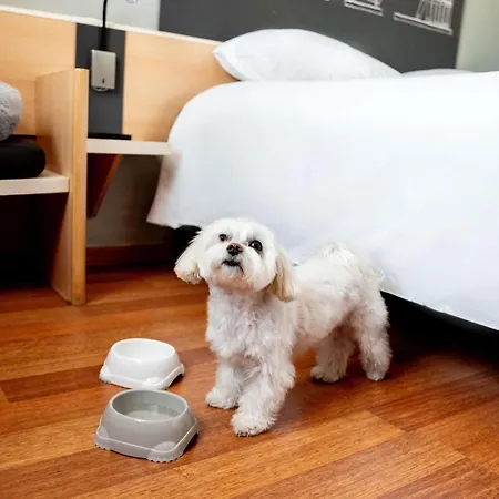 Hotel Ibis Stare Poznań