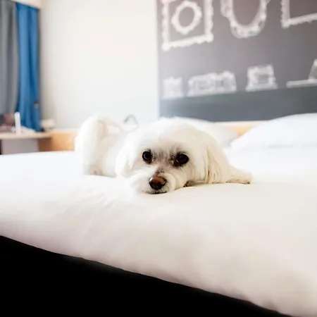 Ibis Stare Hotel 2*
