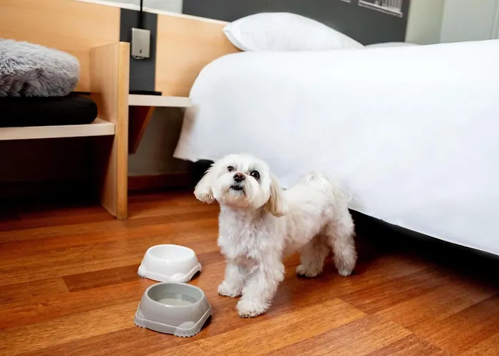 Ibis Stare 2* Poznan